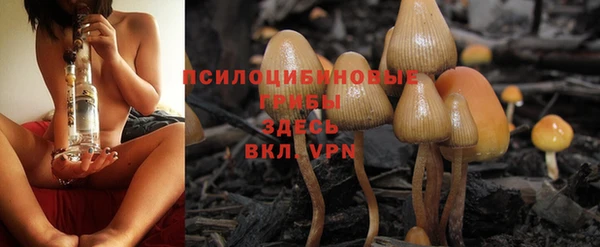 хмурый Баксан