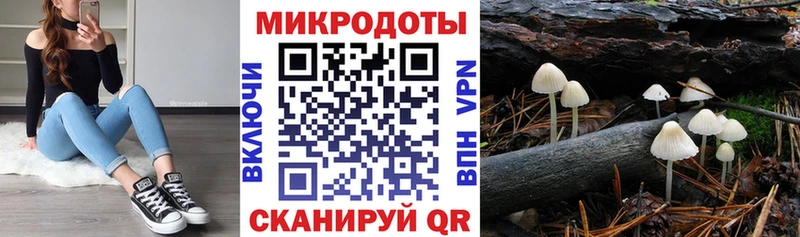Псилоцибиновые грибы MAGIC MUSHROOMS Калининец